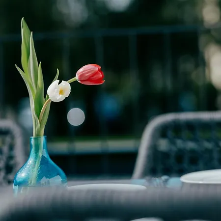 Aqua Blu 3* 巴特法兴格